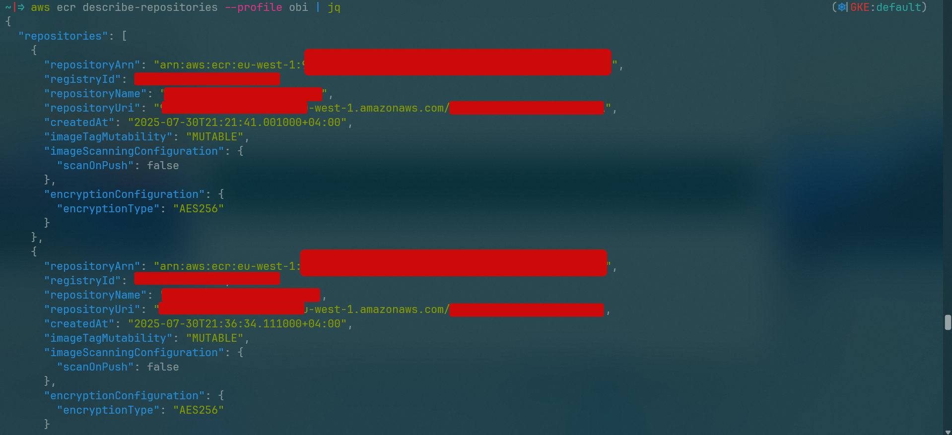 describe-repositories